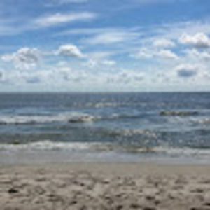 Meet your Posher, Millie